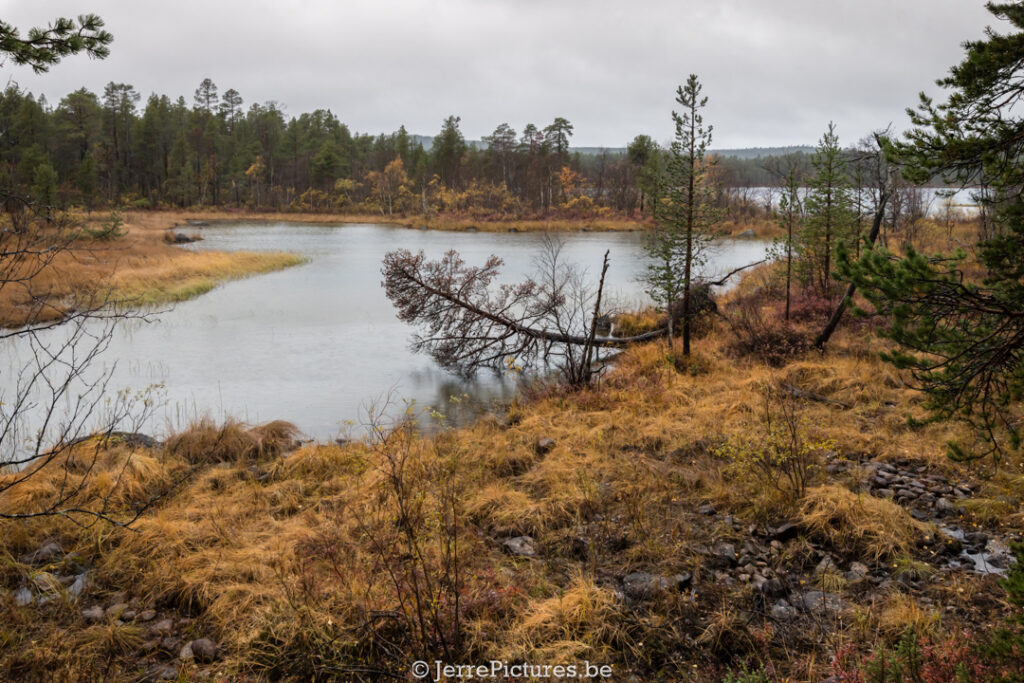 Haapakoski Paivatupa