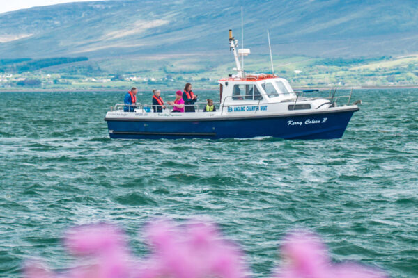 Home - Tralee Bay Experience